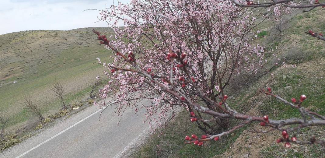 Battalgazi Karatepe Köyü Resimleri 3