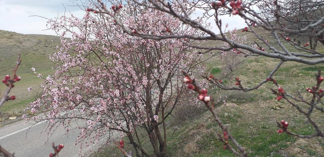 Battalgazi Karatepe Köyü Resimleri 4