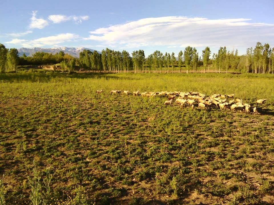 Battalgazi Kernek Köyü Resimleri 1