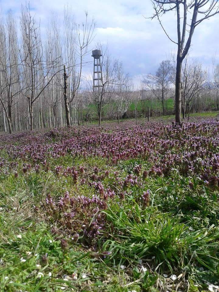Battalgazi Kernek Köyü Resimleri 2