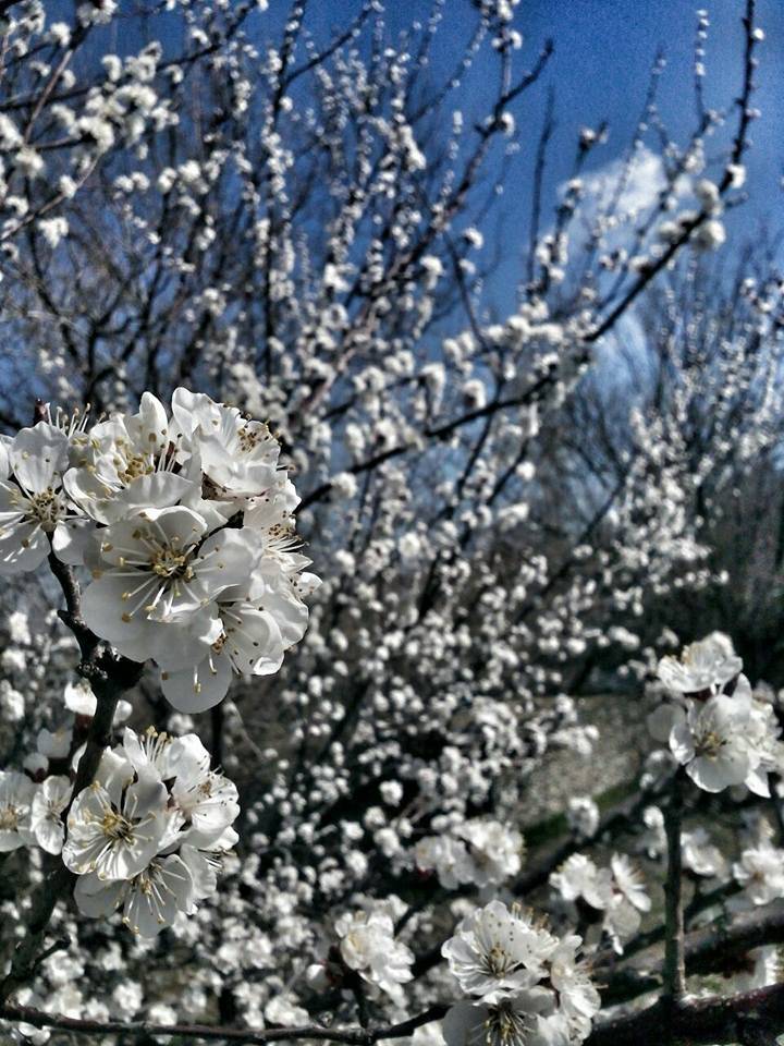 Battalgazi Kernek Köyü Resimleri 4