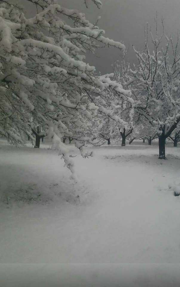 Battalgazi Kuluşağı Köyü Resimleri 4