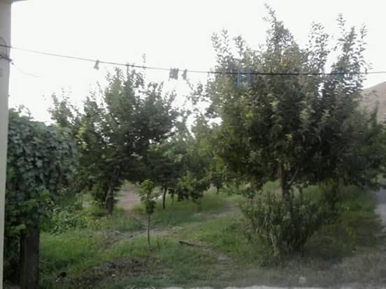 Battalgazi Kuluşağı Köyü Resimleri 6