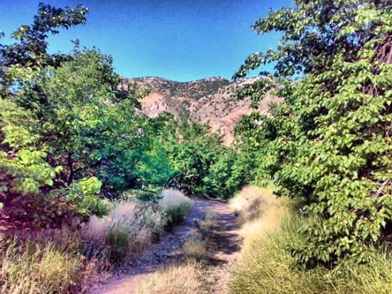 Battalgazi Kuluşağı Köyü Resimleri 8