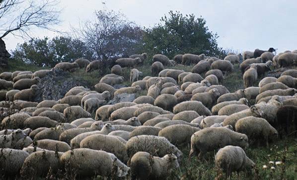 Bünyan Cumhuriyet Köyü Resimleri 2