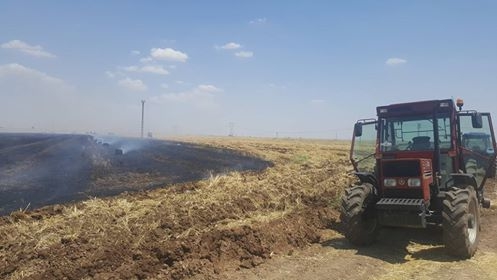 Derik Köseveli Köyü Resimleri 4