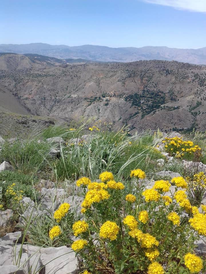 Battalgazi Taştepe Köyü Resimleri 2