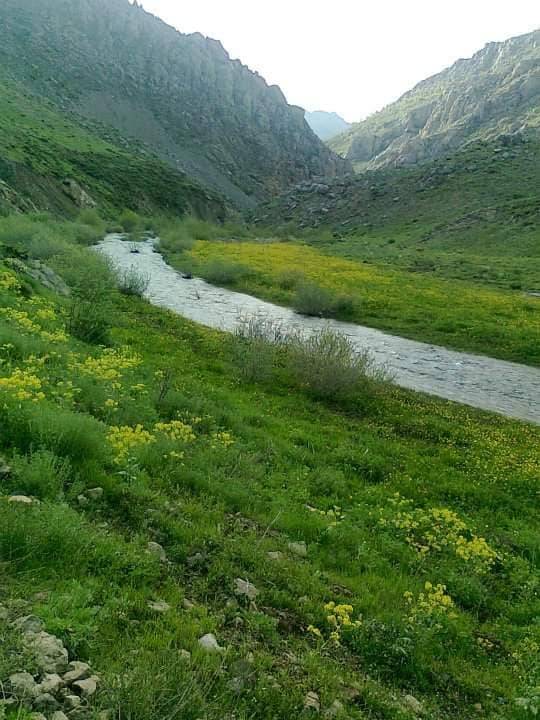 Battalgazi Taştepe Köyü Resimleri 3