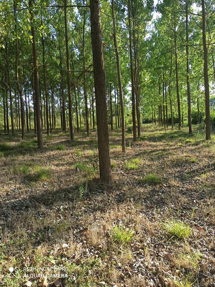 Bünyan Yavuz Selim Köyü Resimleri 3