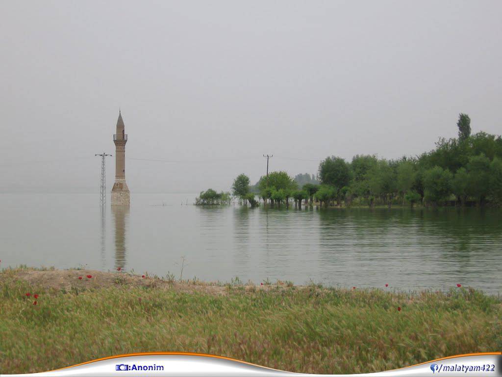 Battalgazi Toygar Köyü Resimleri 14