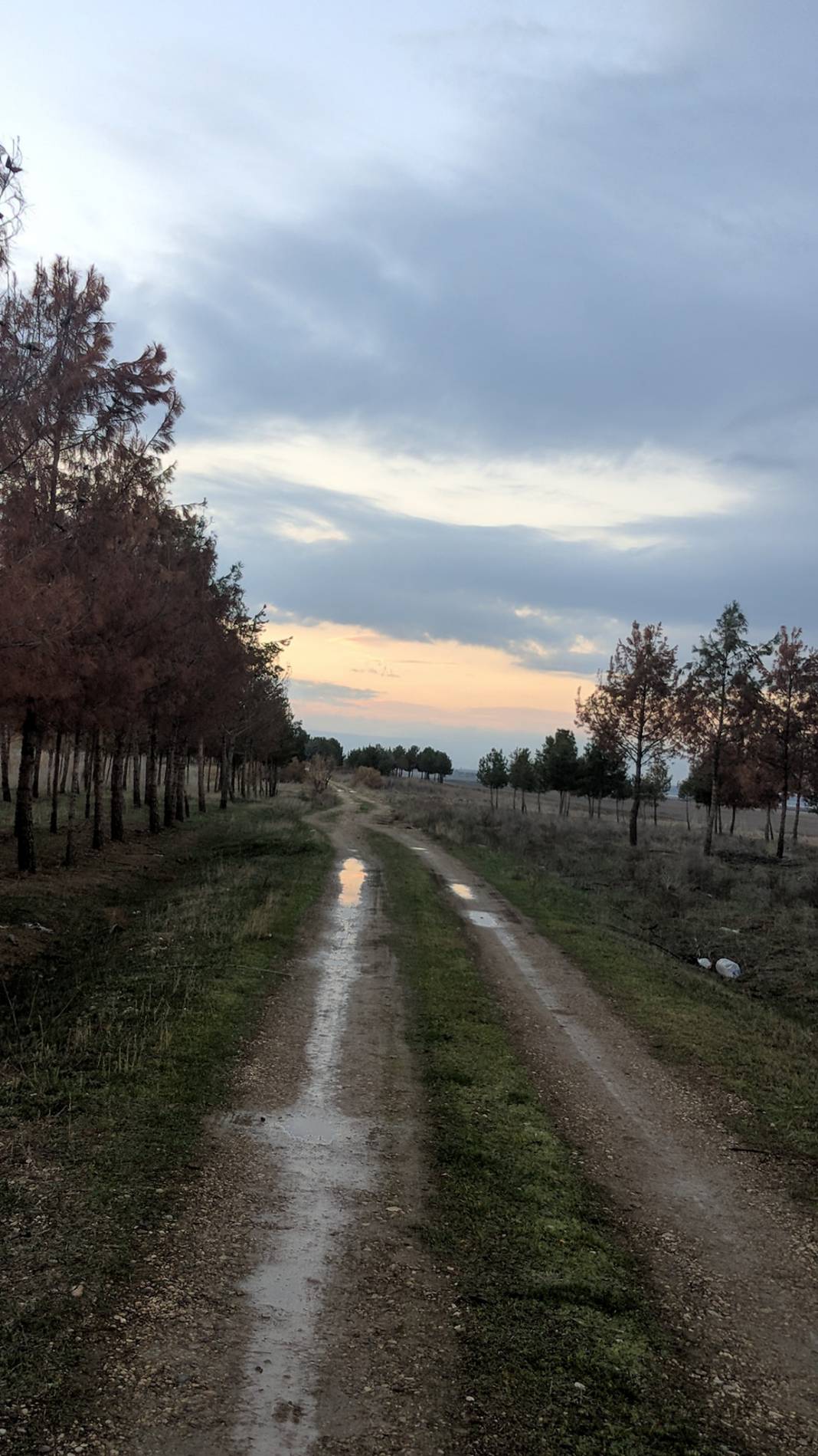 Battalgazi Toygar Köyü Resimleri 6