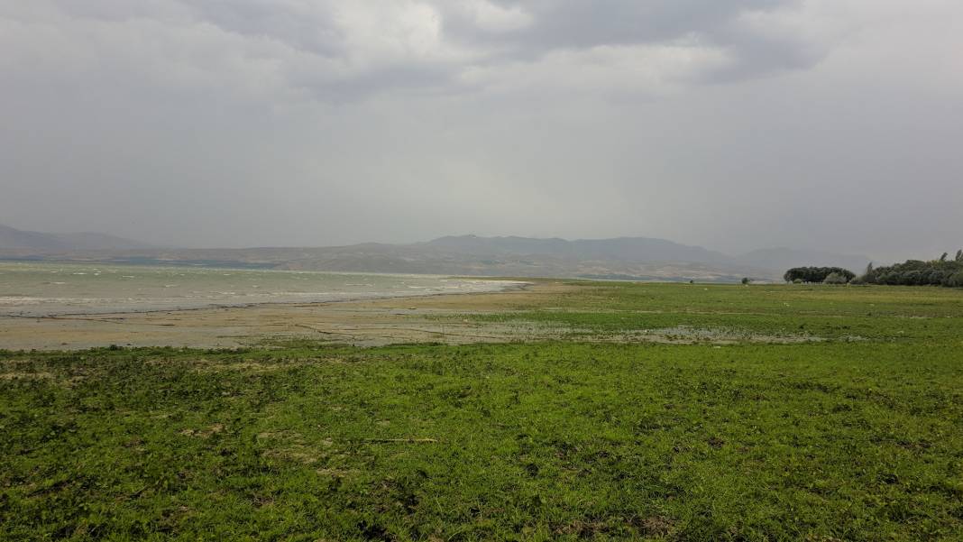 Battalgazi Toygar Köyü Resimleri 9