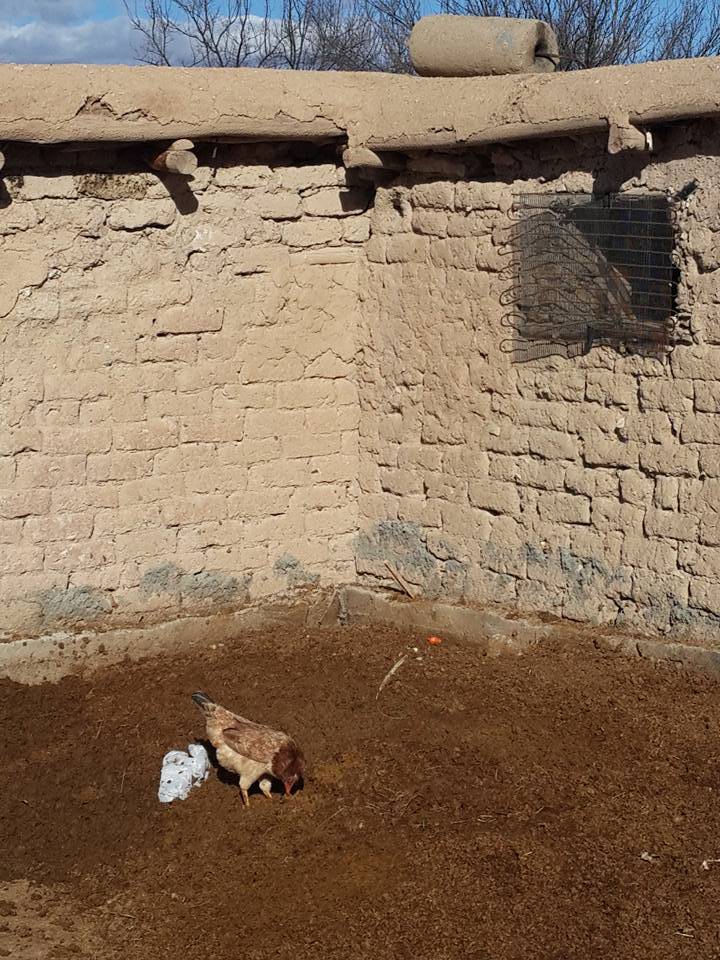 Battalgazi Yarımcahan Köyü Resimleri 1