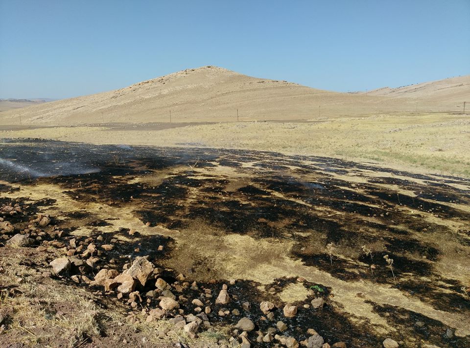 Derik Pınarcık Köyü Resimleri 6