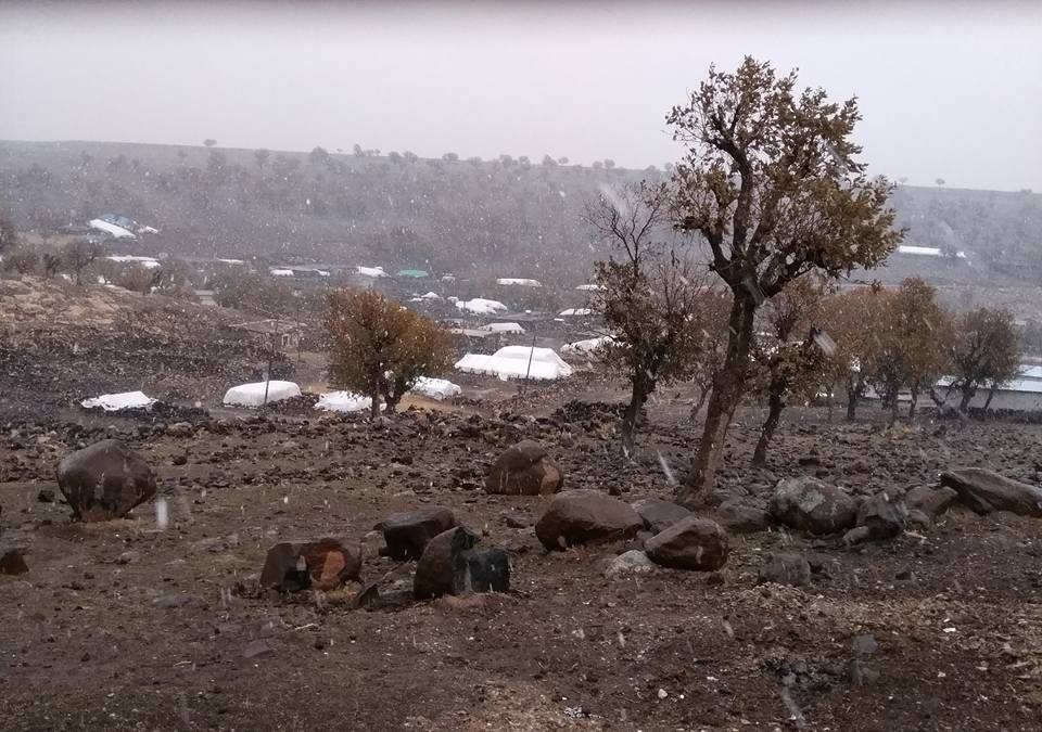 Derik Pirinçli Köyü Resimleri 4