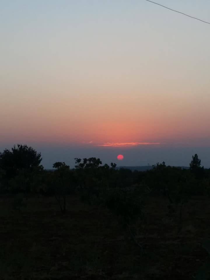 Nizip Boyluca Köyü Resimleri 8