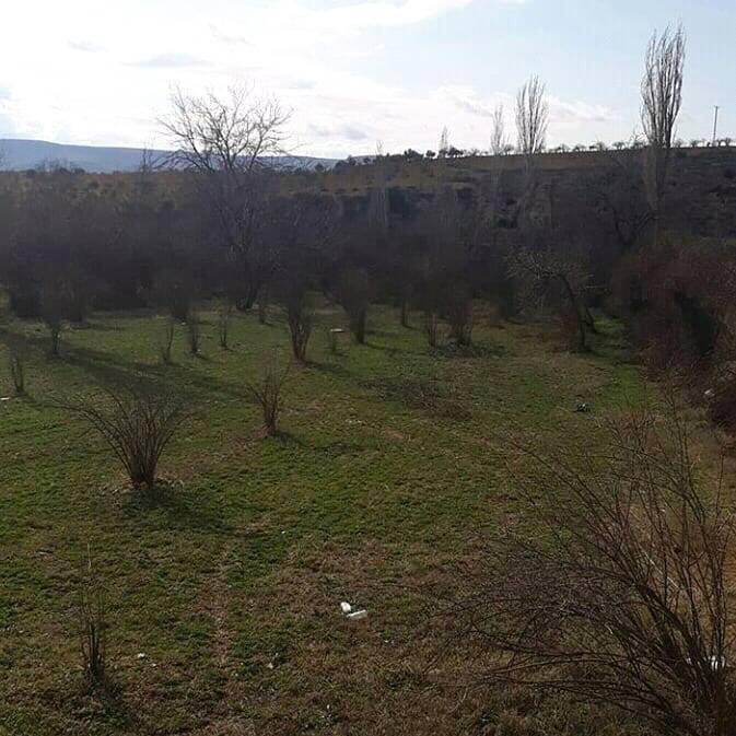 Nizip Çanakçı Köyü Resimleri 13