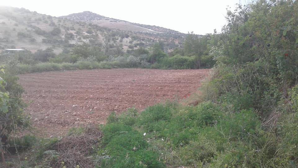 Nizip Çanakçı Köyü Resimleri 3