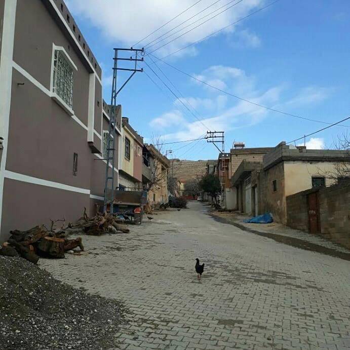 Nizip Çanakçı Köyü Resimleri 5