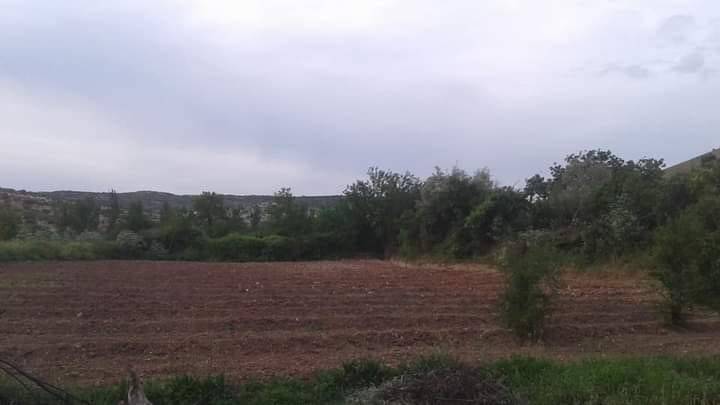 Nizip Çanakçı Köyü Resimleri 6