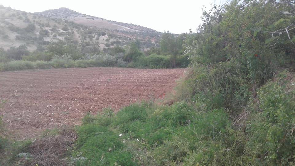 Nizip Çanakçı Köyü Resimleri 8