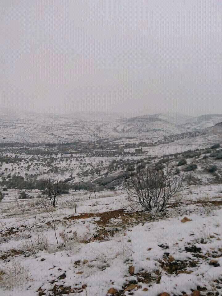 Nizip Çanakçı Köyü Resimleri 9