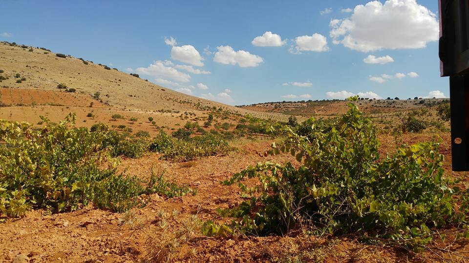 Nizip Dayıdağ Köyü Resimleri 11