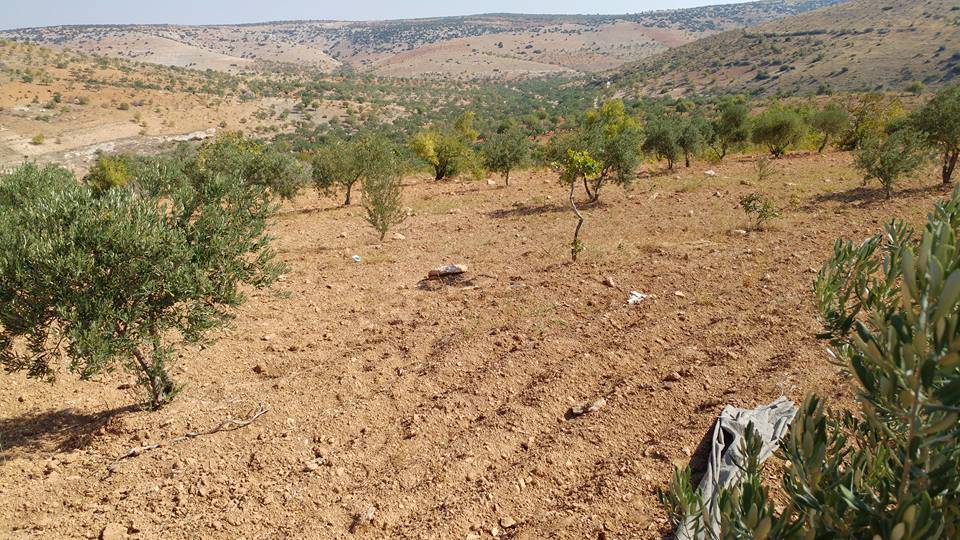 Nizip Dayıdağ Köyü Resimleri 13