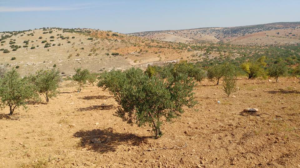 Nizip Dayıdağ Köyü Resimleri 15