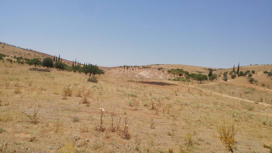 Nizip Dayıdağ Köyü Resimleri 17