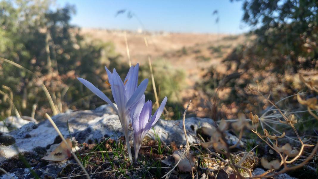 Nizip Dayıdağ Köyü Resimleri 19