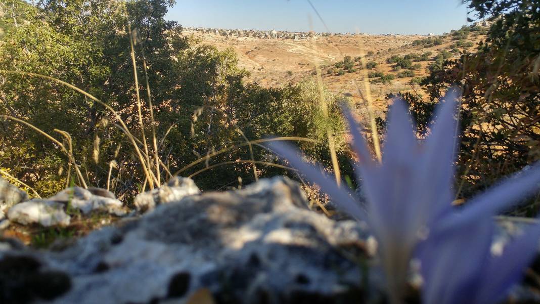 Nizip Dayıdağ Köyü Resimleri 20