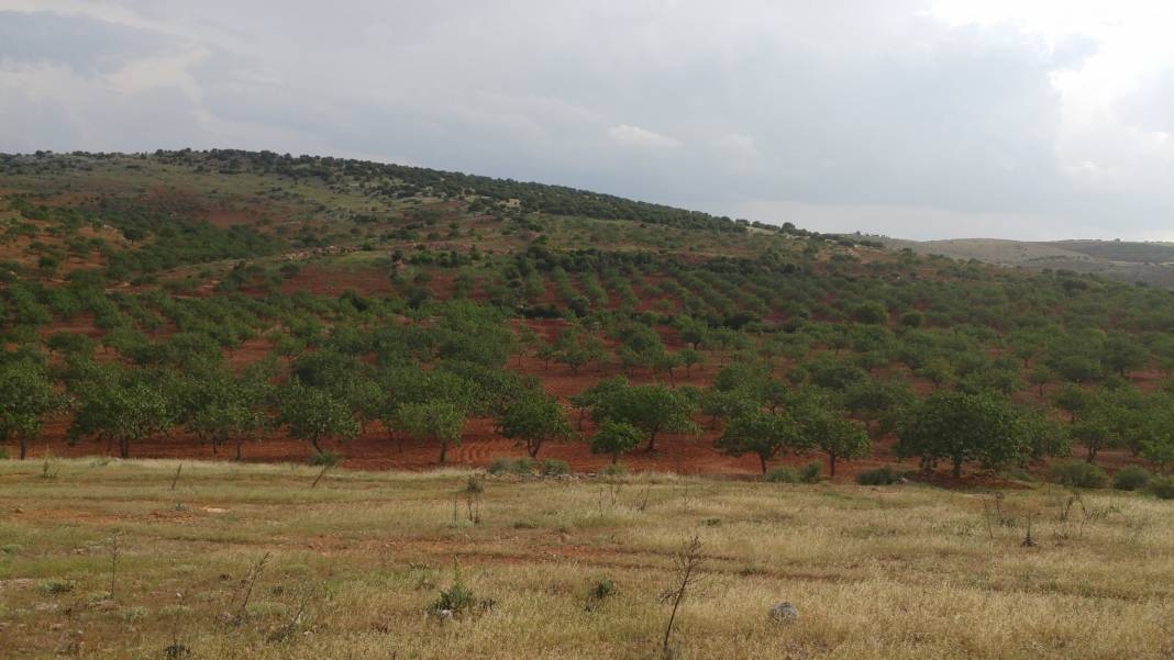 Nizip Dayıdağ Köyü Resimleri 21