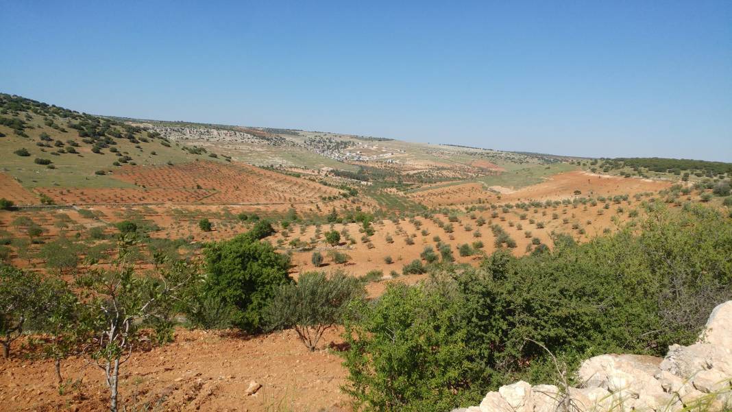 Nizip Dayıdağ Köyü Resimleri 22