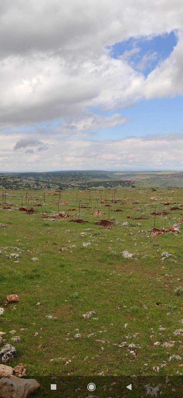Nizip Dayıdağ Köyü Resimleri 31