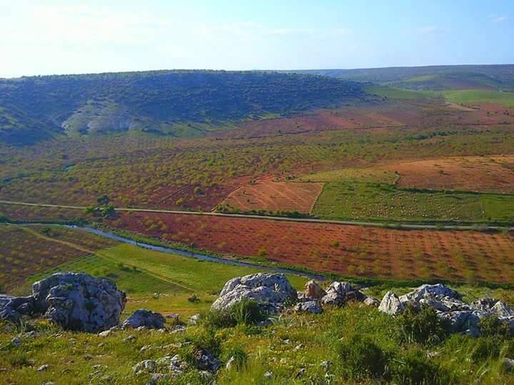 Nizip Dayıdağ Köyü Resimleri 4