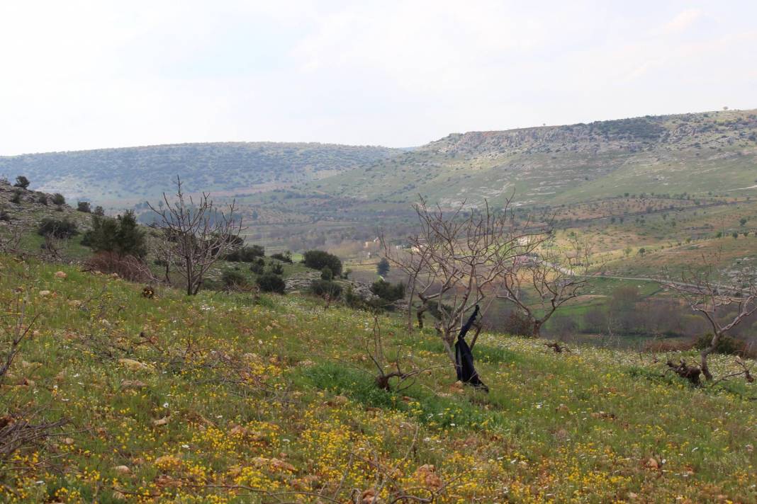 Nizip Dayıdağ Köyü Resimleri 5