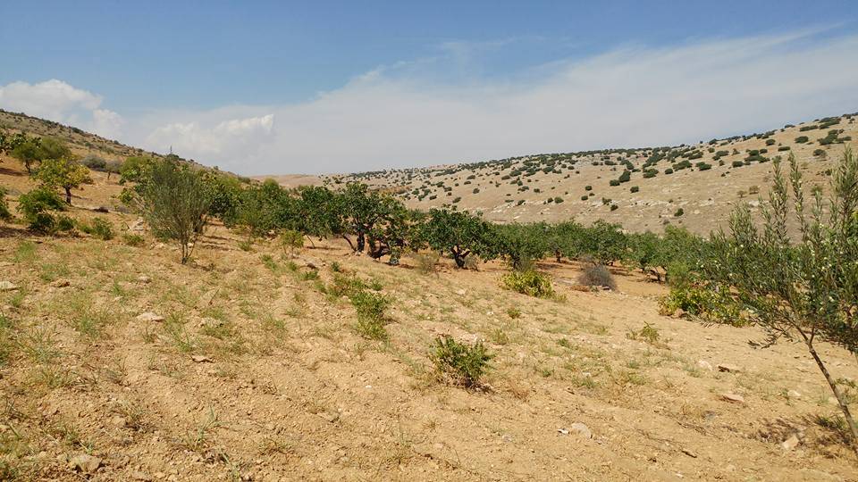 Nizip Dayıdağ Köyü Resimleri 7