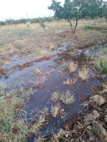 Birecik İnnaplı Köyü Resimleri 4