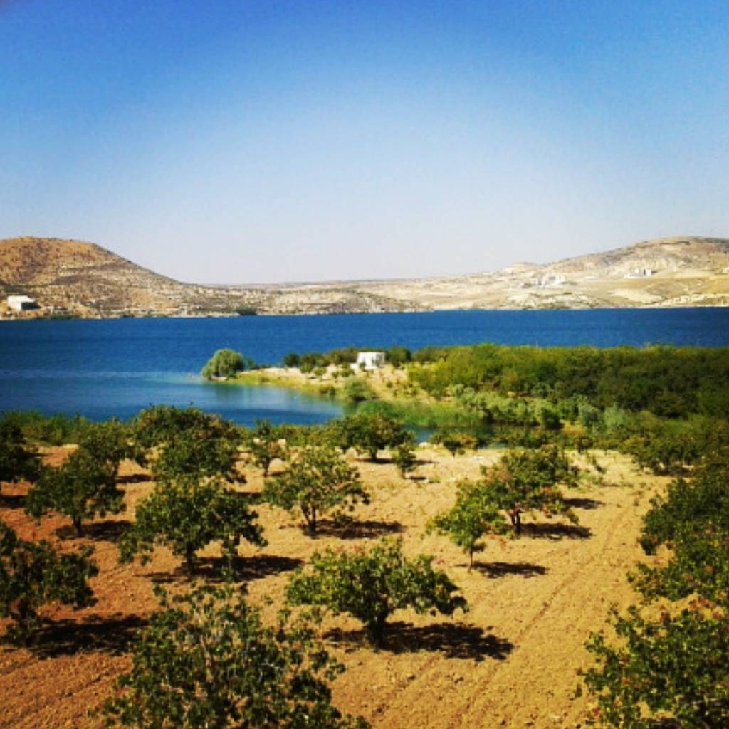 Birecik Keskince Köyü Resimleri 5