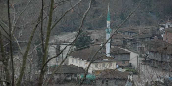 Birecik Kocaali Köyü Resimleri