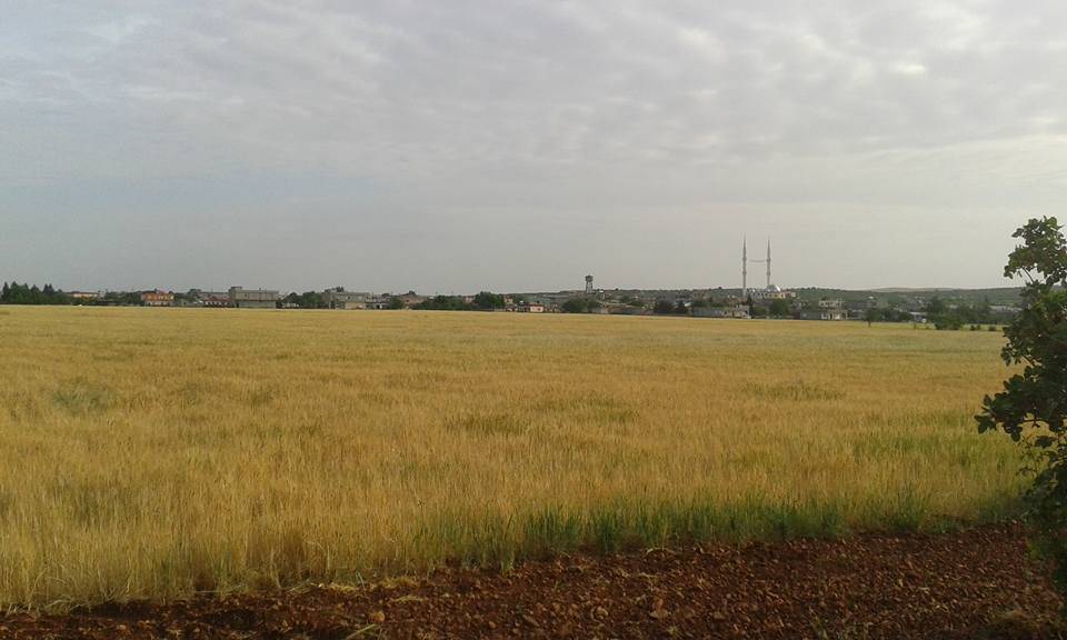 Birecik Kural Köyü Resimleri 2