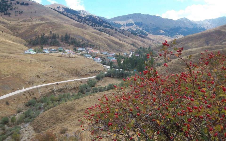 Develi Derebaşı Köyü Resimleri 6