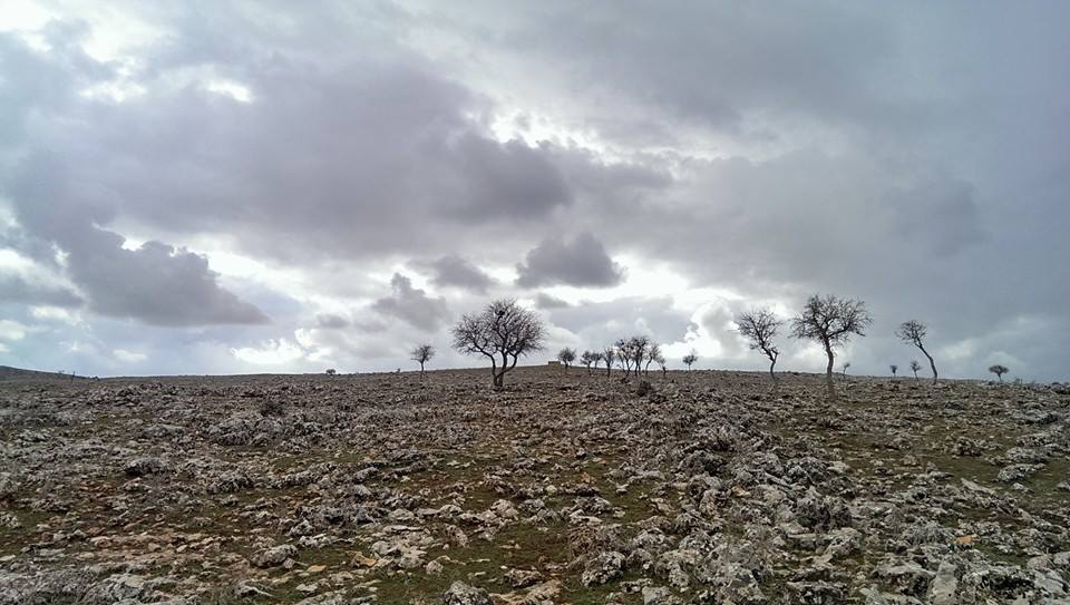 Derik Şerefli Köyü Resimleri 3