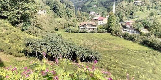 Fındıklı Çınarlı Köyü Resimleri 3
