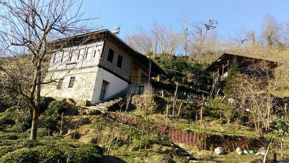 Fındıklı Çınarlı Köyü Resimleri 4