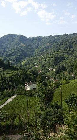 Fındıklı Çınarlı Köyü Resimleri 6