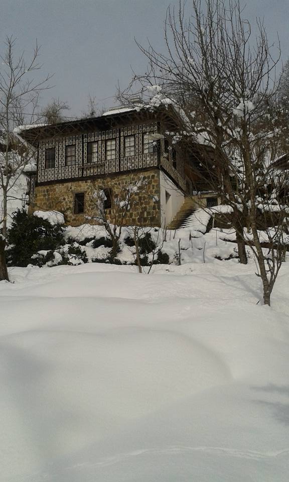 Fındıklı Çınarlı Köyü Resimleri 7