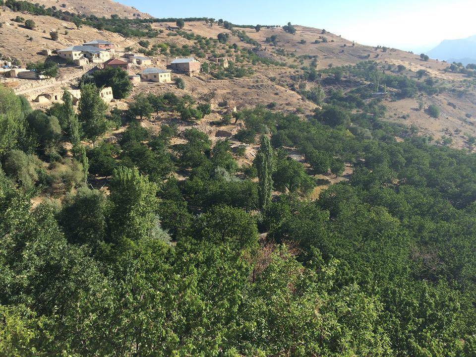 Darende Yenipınar Köyü Resimleri 12