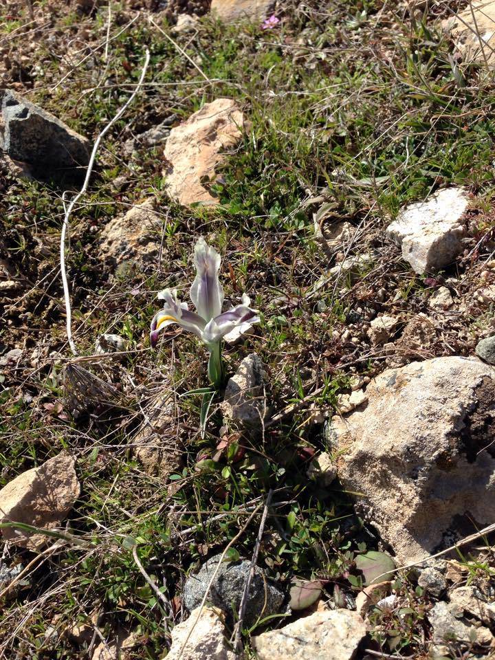 Darende Yenipınar Köyü Resimleri 5